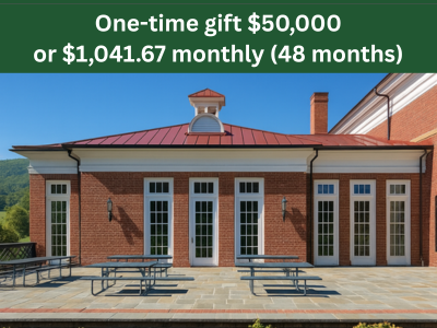 The New Wing Terrace (1) Tile Image