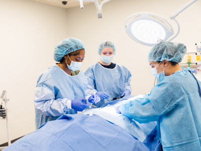 School of Health Sciences and Human Performance Tile Image