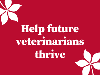 College of Veterinary Medicine Tile Image