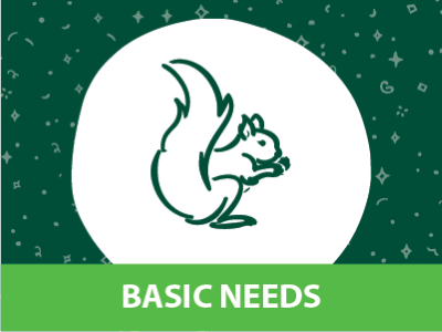 Basic Needs Tile Image