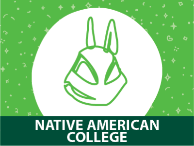 Wileety Native American College Tile Image