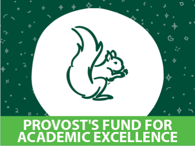 Provost’s Fund for Academic Excellence Tile Image