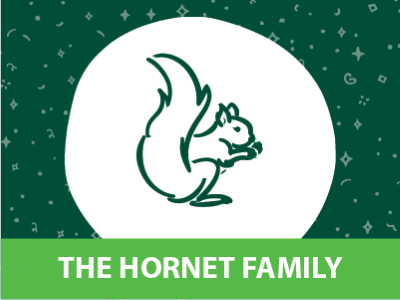 The Hornet Family Tile Image