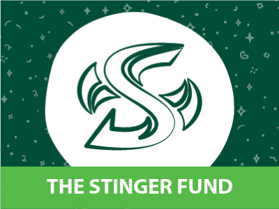 Stinger Fund Tile Image