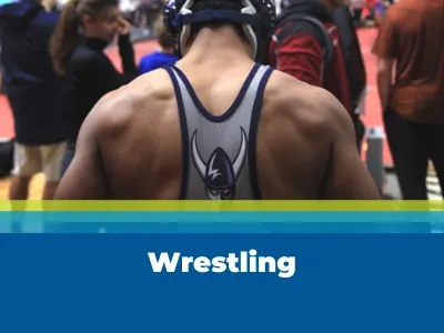 Wrestling Tile Image