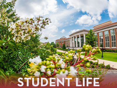 Division of Student Life Tile Image
