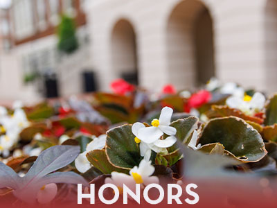 Honors College Tile Image