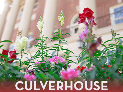 Culverhouse College of Business Tile Image