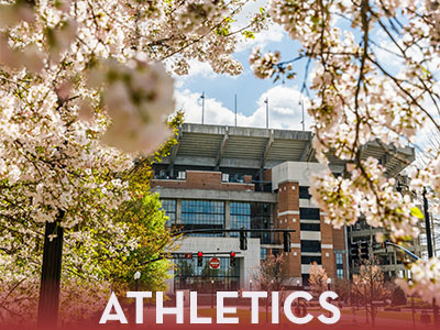 Athletics Tile Image