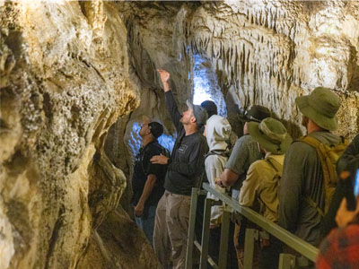 CSTEM Experiential Learning Fund Tile Image