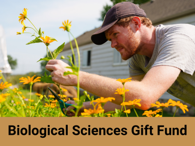 Biological Sciences Gift Fund (30049) Tile Image