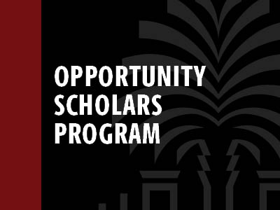 Opportunity Scholars Program Tile Image