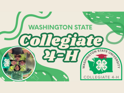 Washington State Collegiate 4-H Tile Image