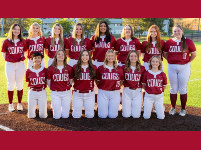 WSU Club Softball Tile Image