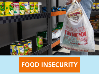 Food Insecurity Tile Image