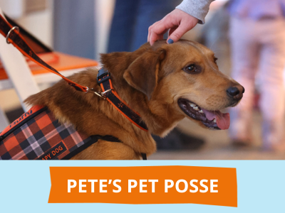 Pete's Pet Posse (Pet Therapy) Tile Image