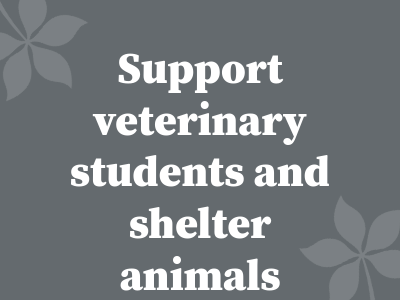 Veterinary Medical Center Tile Image