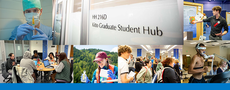 A group of people in a line

Description automatically generated