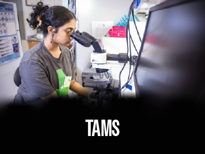 Texas Academy of Mathematics and Science (TAMS) Tile Image