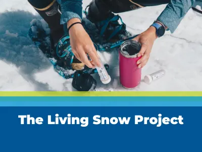The Living Snow Project Tile Image