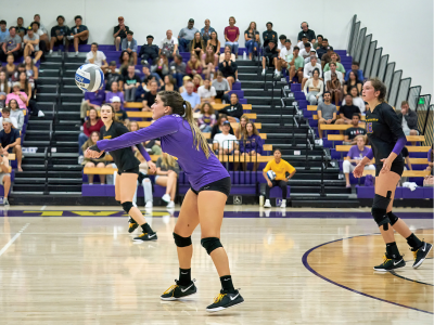 Women's Volleyball Tile Image