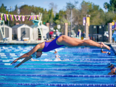 Swim & Dive Tile Image