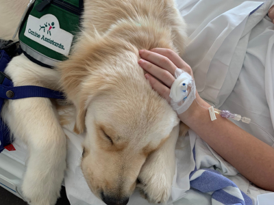 Animal Therapy Tile Image