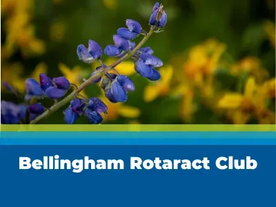 Bellingham Rotaract Club Tile Image