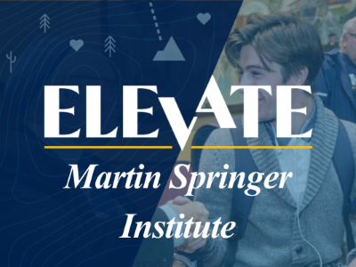 Elevate Martin Springer Institute Tile Image