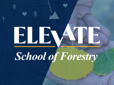 Elevate School of Forestry Tile Image