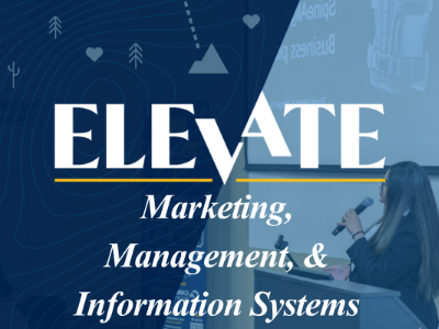 Management, Marketing, and Information Systems Tile Image