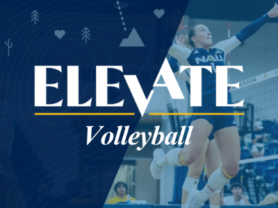 Elevate Volleyball Tile Image