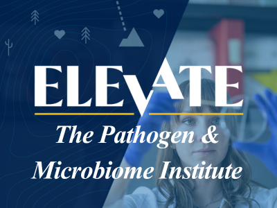 Elevate The Pathogen and Microbiome Institute Tile Image