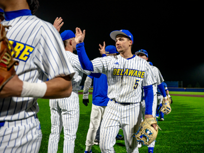 Delaware Baseball Tile Image