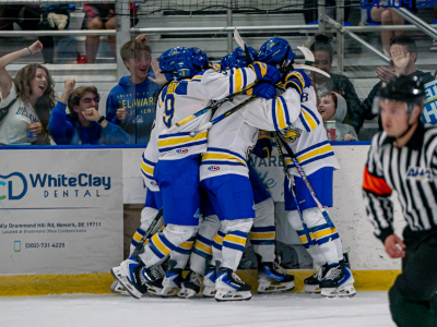 Delaware Ice Hockey Tile Image