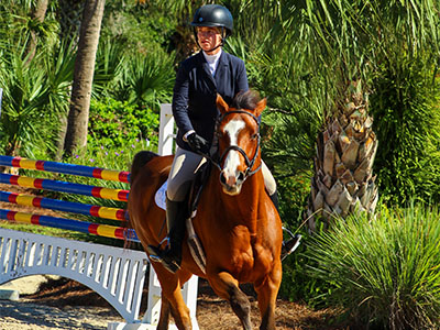 Equestrian Tile Image