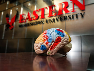 Brain Injury Social Comm. Clinic & Research Lab Tile Image