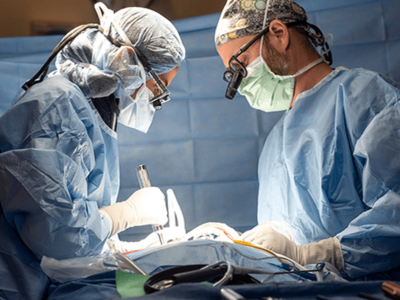 Neurology and Neurosurgery Tile Image