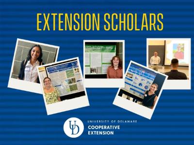 Cooperative Extension: Summer Extension Scholars Tile Image