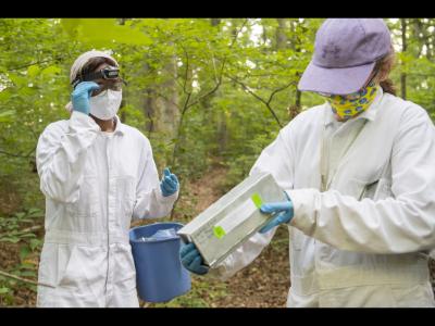 Disease Ecology Lab: Lyme Disease Research Tile Image