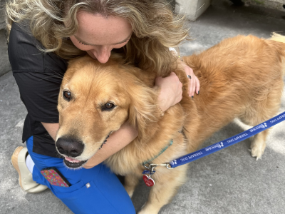 Animal Therapy Tile Image