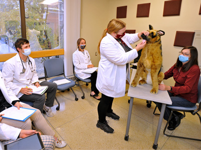 Diagnostic Challenge (Teaching Creativity Fund) Tile Image