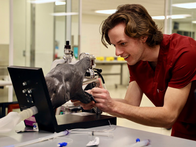 Simulation-Based Education Tile Image