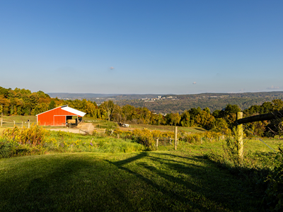 Public Safety | Community Engagement Fund Tile Image