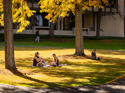 Ithaca Achievement Program Tile Image