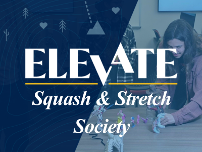 Squash and Stretch Society Tile Image