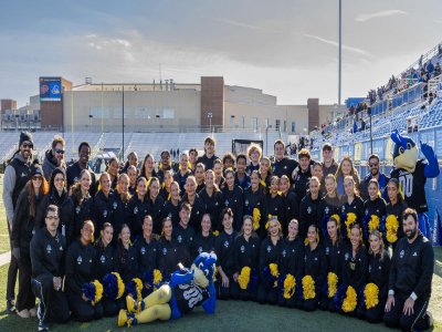 Delaware Cheer Tile Image