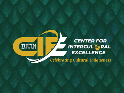 Center for InterculTUral Excellence (CIE)