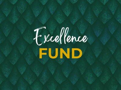The Excellence Fund