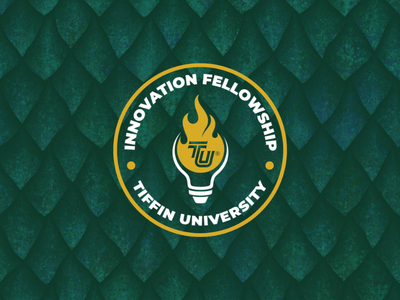 Innovation Fellowship Program